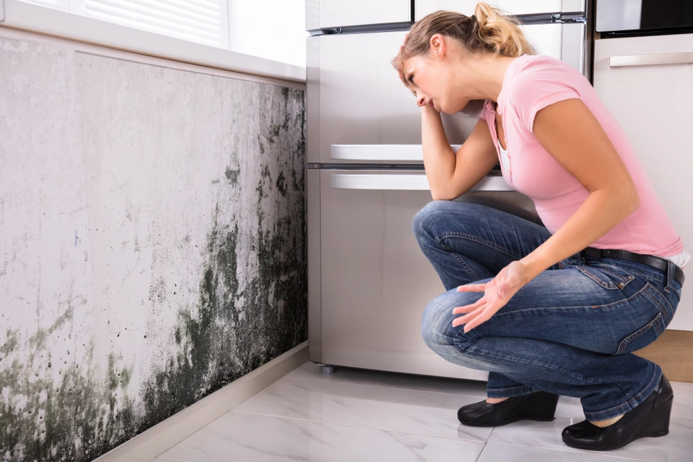 MOLD INSPECTION · MOISTURE-AFFECTED WALL